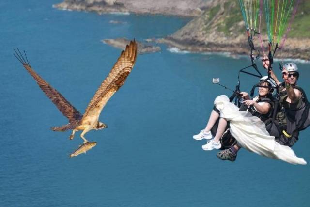 Daily Picdump