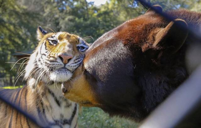 Daily Picdump