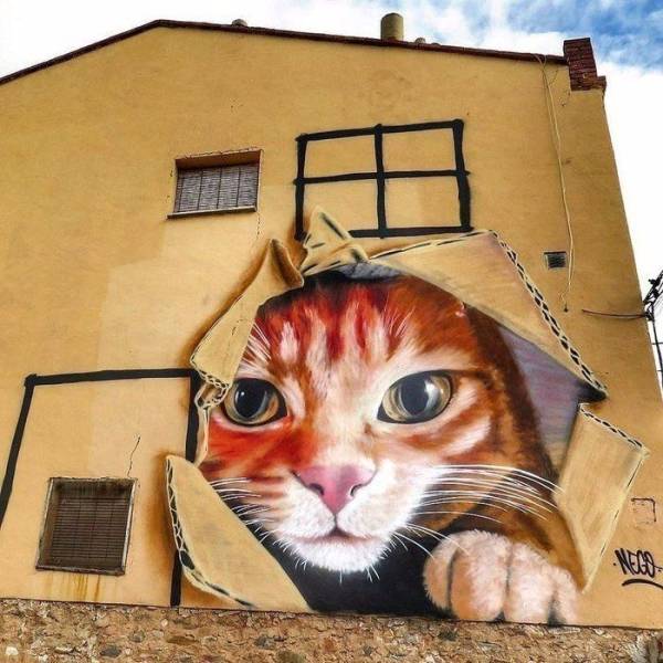 Daily Picdump