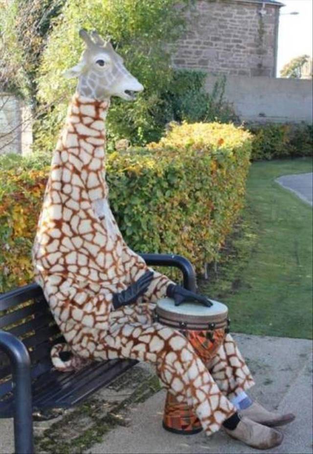 Content Image