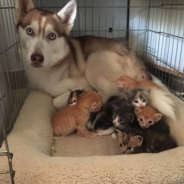 Daily Picdump
