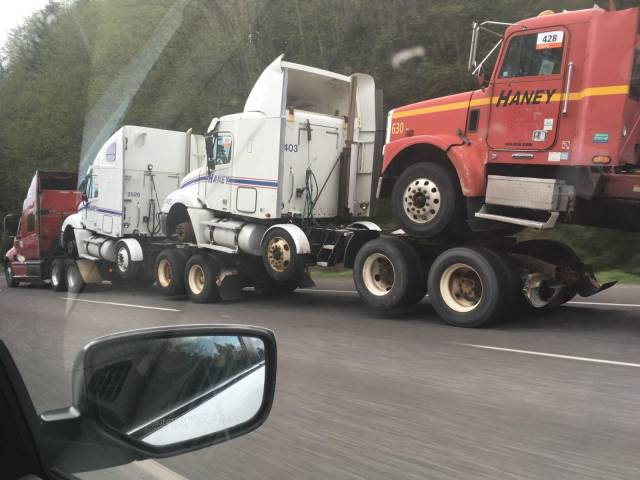 Daily Picdump