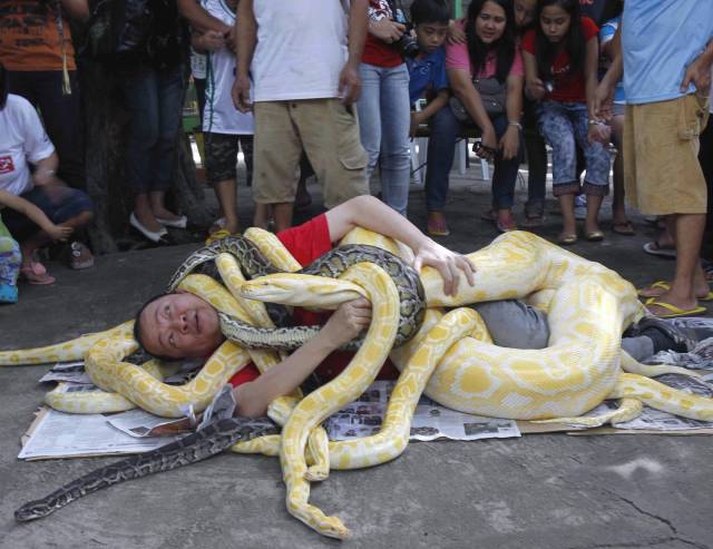 Daily Picdump