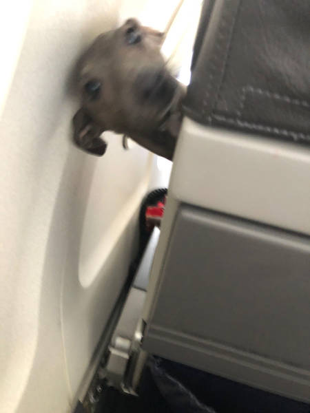 Content Image
