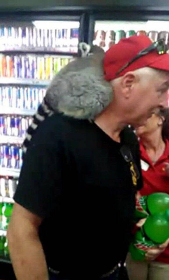Content Image
