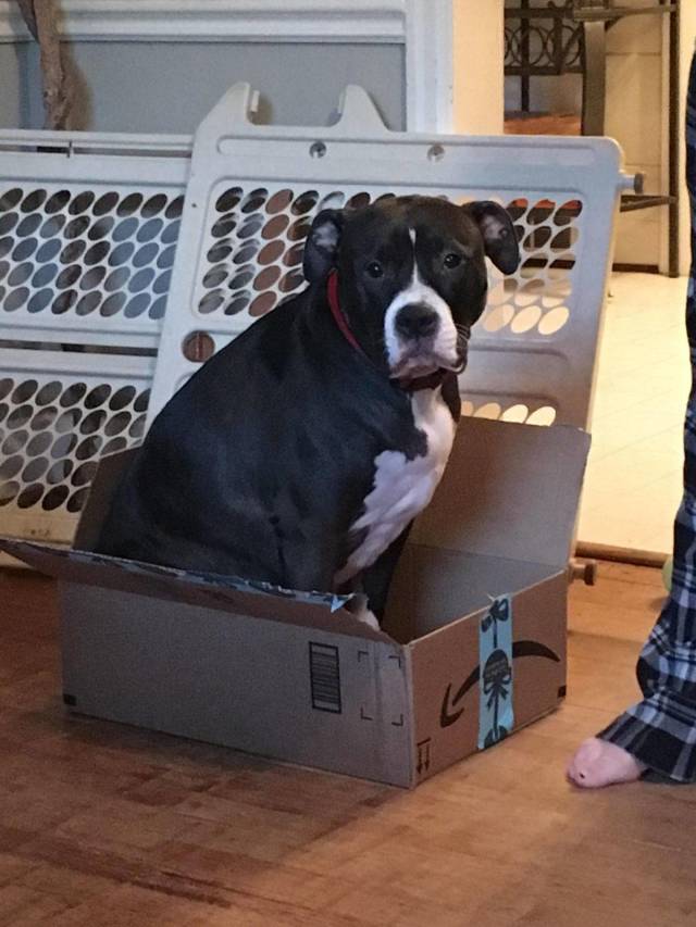 Daily Picdump