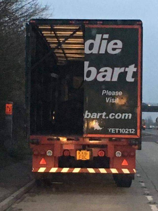 Content Image
