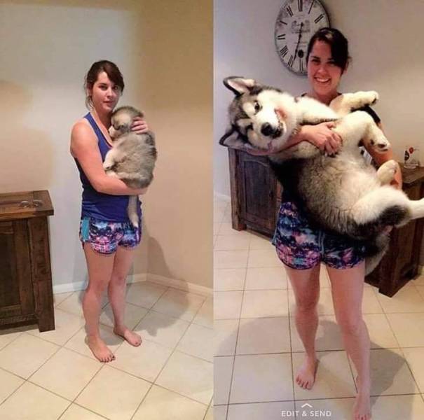Daily Picdump