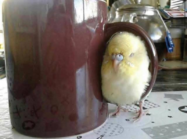 Daily Picdump