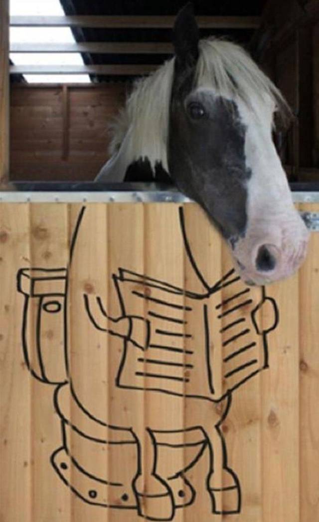 Content Image