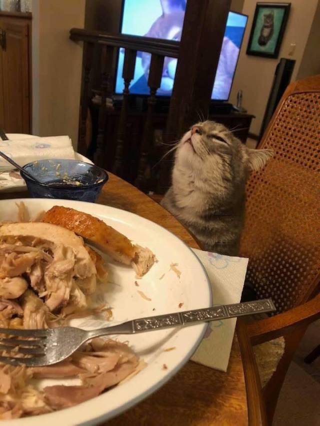 Content Image
