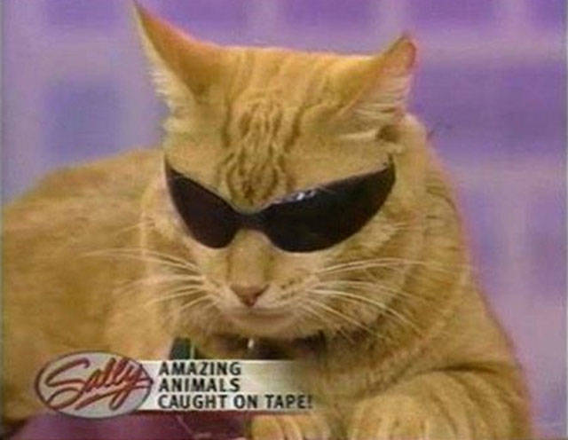 Content Image