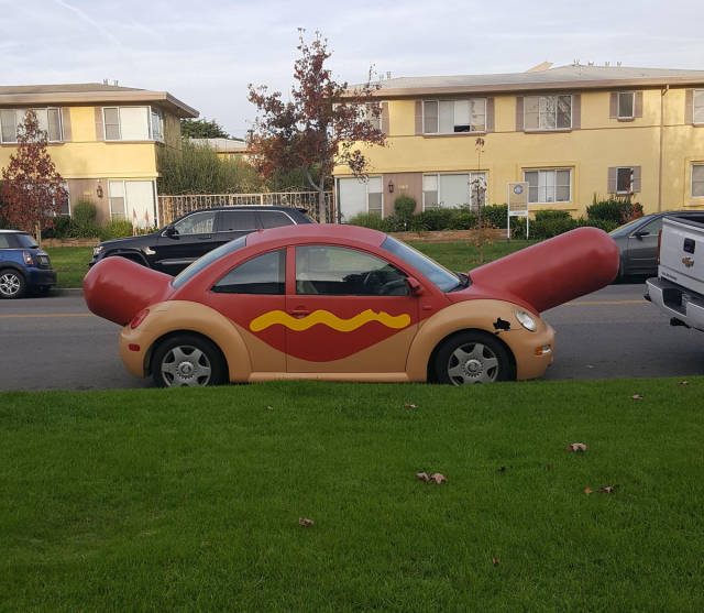 Content Image