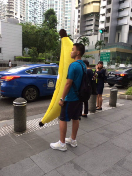 Content Image