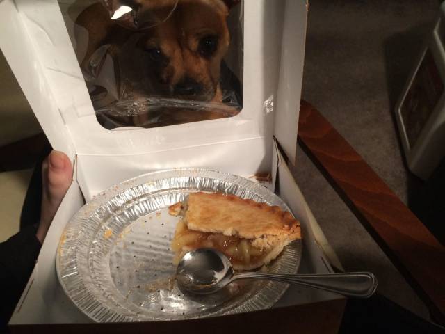 Daily Picdump