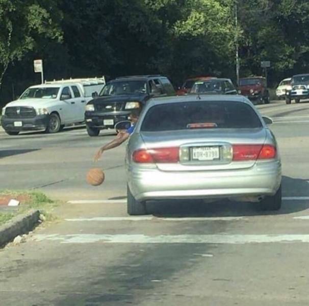 Daily Picdump