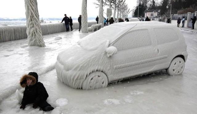 Daily Picdump
