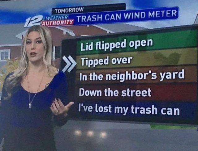 Content Image