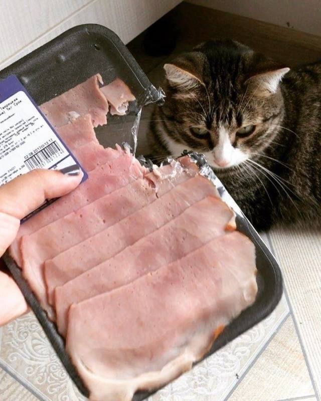 Content Image