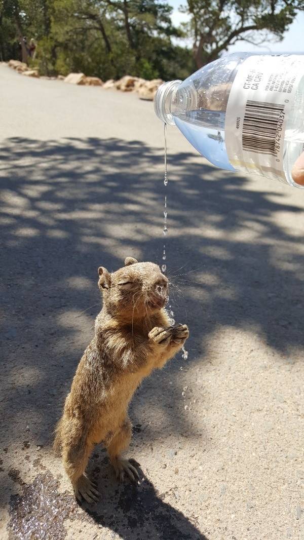 Morning Picdump