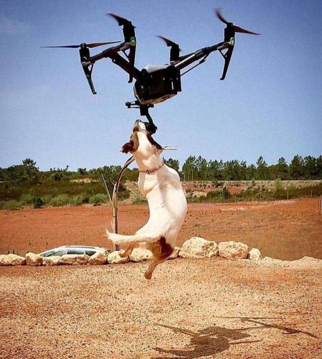 Daily Picdump