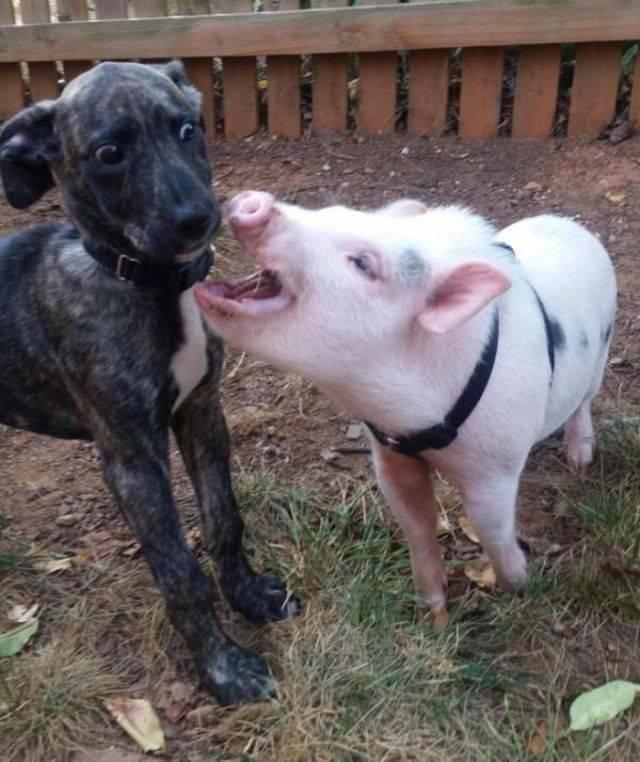 Daily Picdump