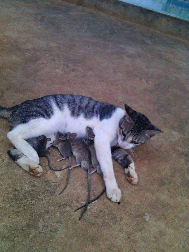 Daily Picdump