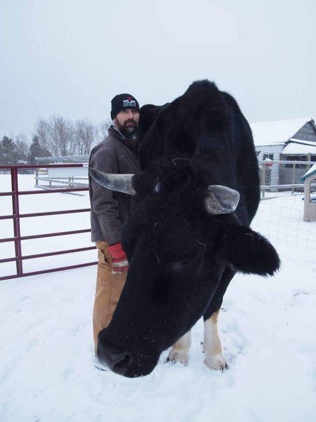 Daily Picdump