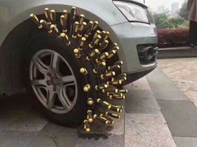Daily Picdump