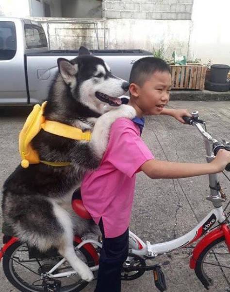 Content Image
