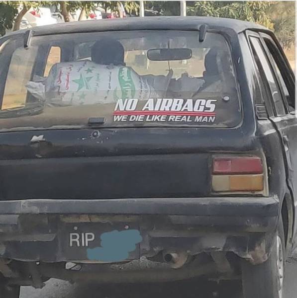 Morning Picdump