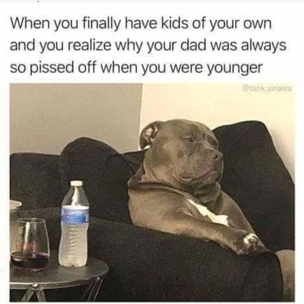 Funny Picdump