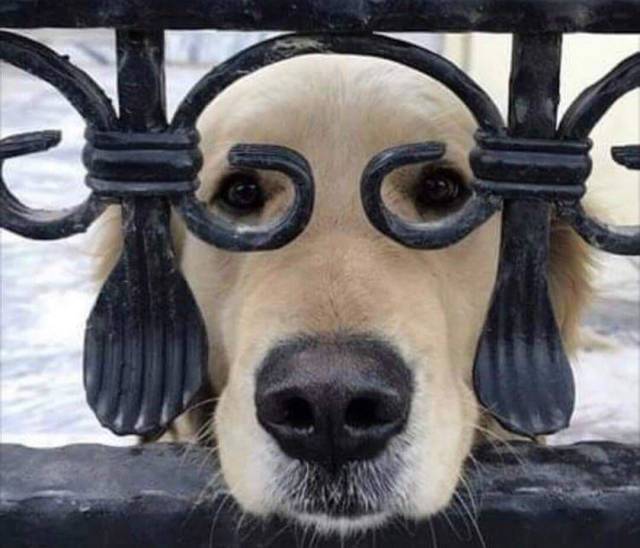 Funny Picdump