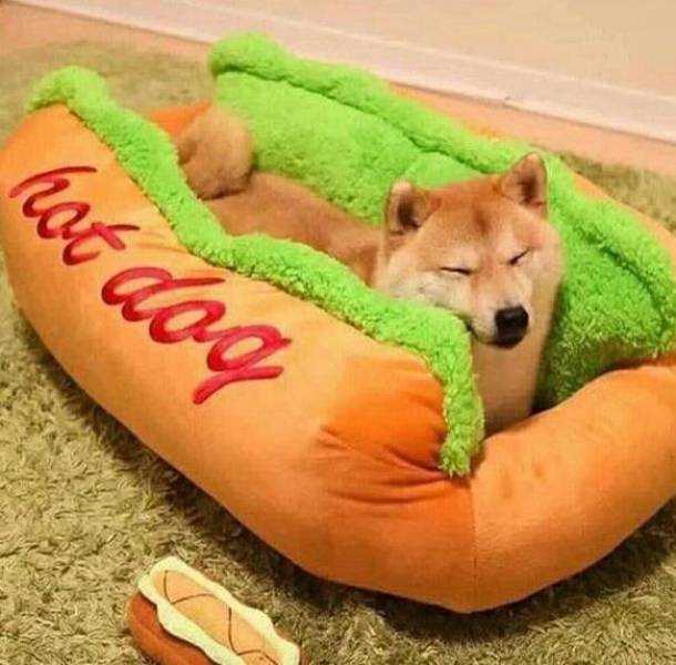 Content Image