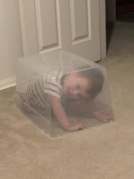 Content Image