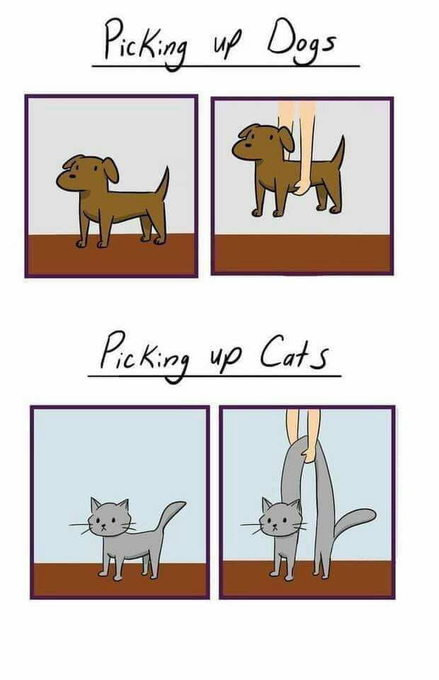 Funny Picdump