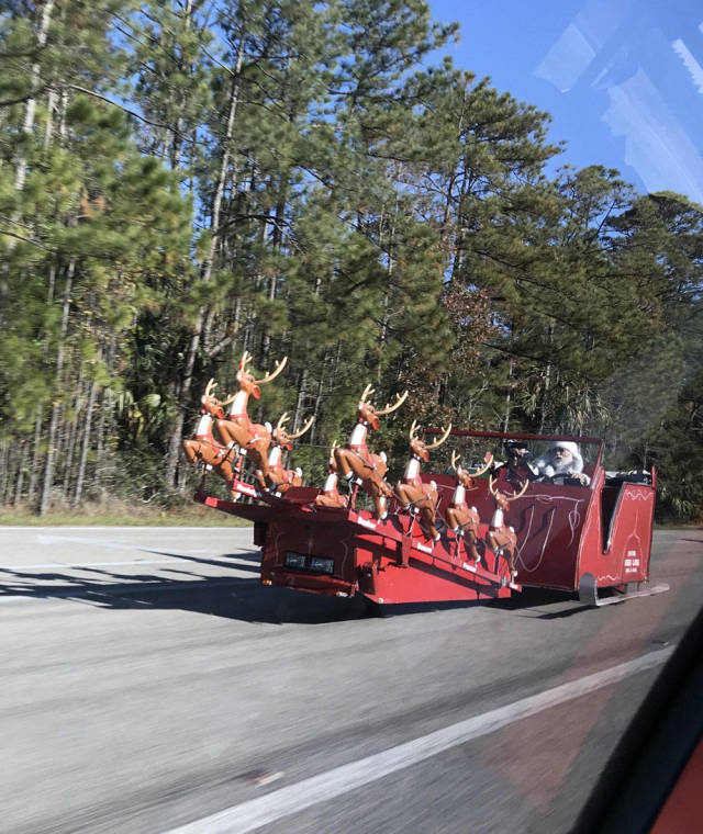 Morning Picdump