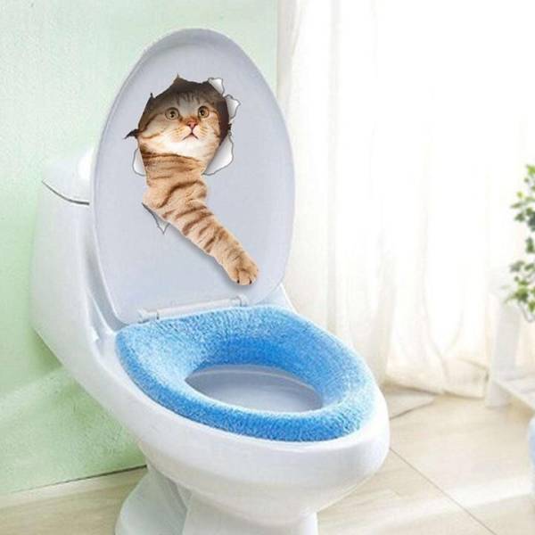 Content Image