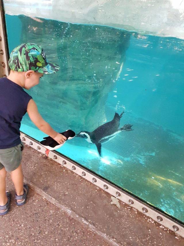 Daily Picdump [WEEKEND EDITION]