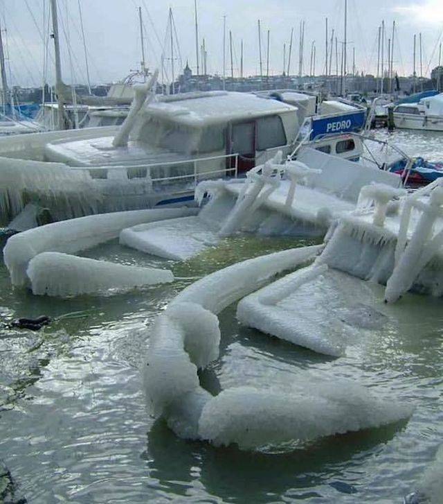 Daily Picdump [WEEKEND EDITION]