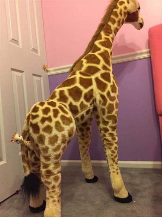 Content Image