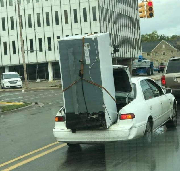 Daily Picdump