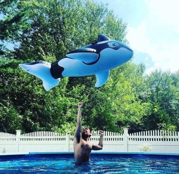 Daily Picdump