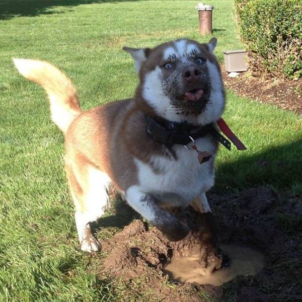 Daily Picdump