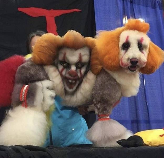 Daily Picdump