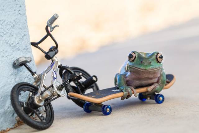 Content Image