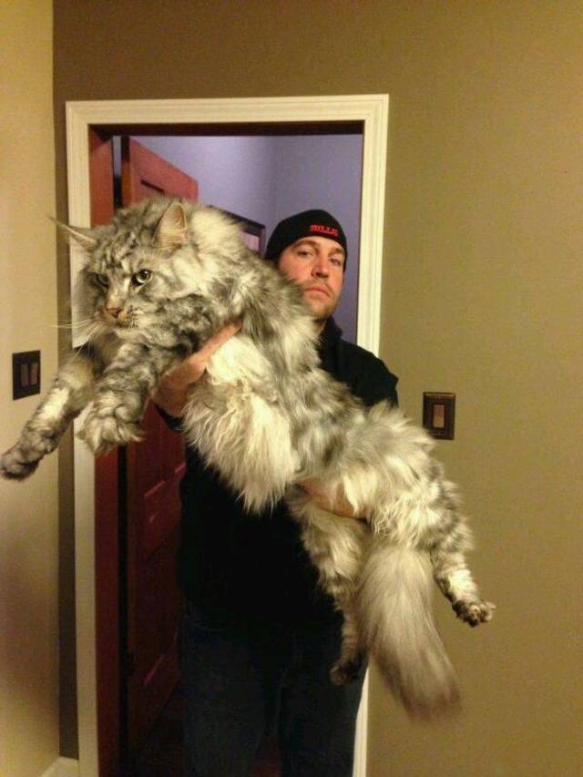 Daily Picdump