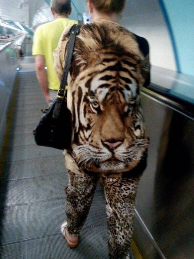 Daily Picdump