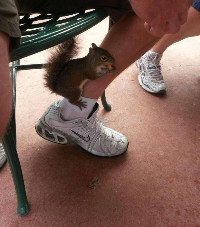 Content Image
