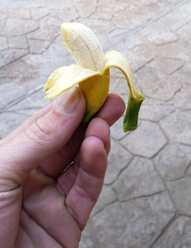 Content Image